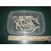 Live Food Silk Worms (Large)